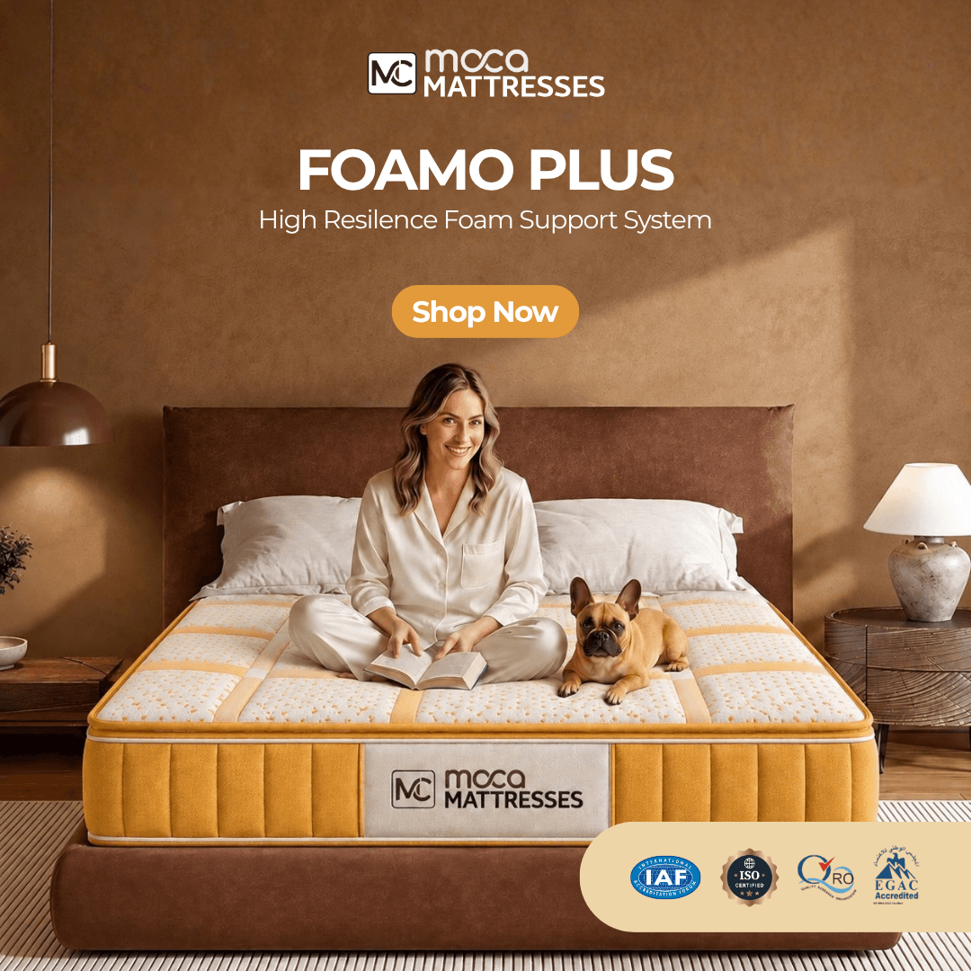 Foamo Plus